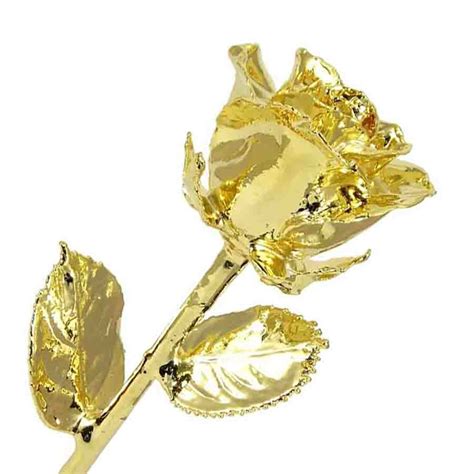 chanel 120 gold dipped roses.